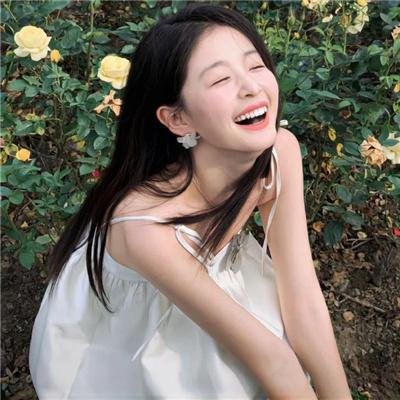 狮子狗行动